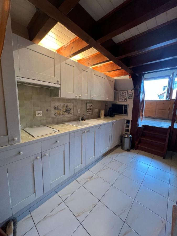 Rare 2 Bedroom With Private Beach On Lake Annecy Doussard Eksteriør billede